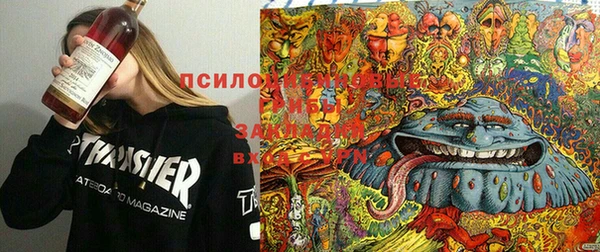 а пвп мука Баксан