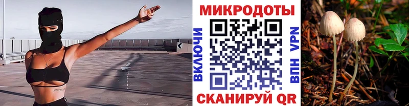 Псилоцибиновые грибы MAGIC MUSHROOMS  Сафоново 